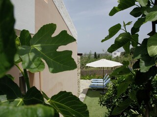 Villa Pigi Außenaufnahme 7