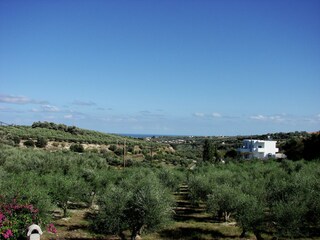 Villa Pigi Omgeving 27