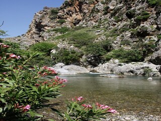 Villa Pigi Environnement 27