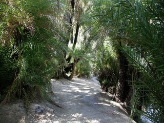 Villa Pigi Umgebung 32