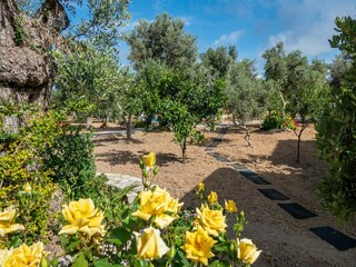 Vakantiehuis Skaleta Buitenaudio-opname 8