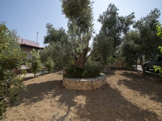 Vakantiehuis Rethymnon Buitenaudio-opname 9