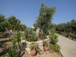 Vakantiehuis Rethymnon Kenmerken 23
