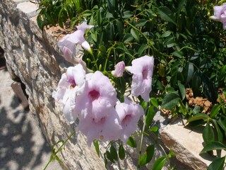 Villa Kirianna Buitenaudio-opname 11