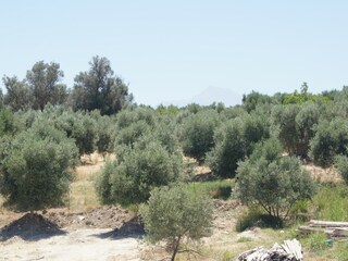 Villa Kirianna Buitenaudio-opname 12