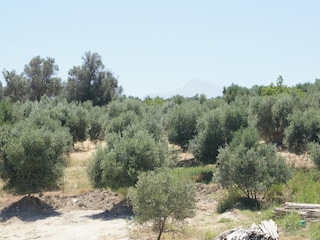 Villa Kirianna Outdoor Recording 15