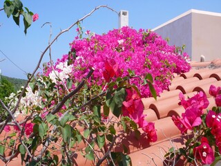 Villa Kirianna Buitenaudio-opname 10