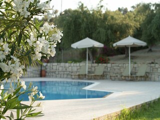 Villa Pigi Buitenaudio-opname 12