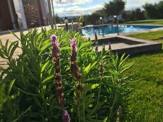 Villa Kirianna Außenaufnahme 12