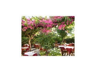 Villa Pefki Grabación al aire libre 14