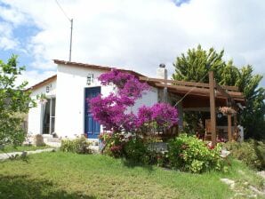 Holiday house Charmantes Ferienhaus mit eigenem Garten in Kritinia Rhodos - Kritinia - image1