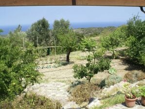 Holiday house Charmantes Ferienhaus mit eigenem Garten in Kritinia Rhodos - Kritinia - image1