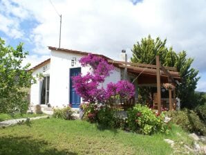 Holiday house Charmantes Ferienhaus mit eigenem Garten in Kritinia Rhodos - Kritinia - image1