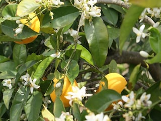 Maison de vacances Kritinia Enregistrement extérieur 10