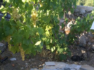 Maison de vacances Kritinia Enregistrement extérieur 6