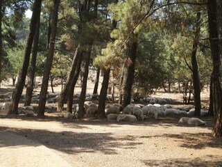 Casa per le vacanze Kritinia Ambiente 32