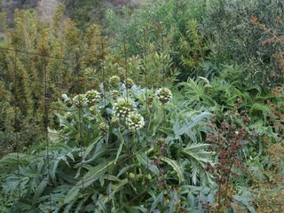 Maison de vacances Kritinia Enregistrement extérieur 12