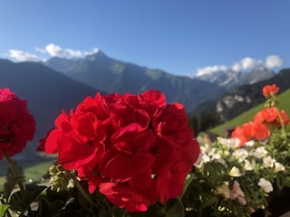 Vakantiehuis Hippach Buitenaudio-opname 6