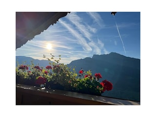 Vakantiehuis Hippach Buitenaudio-opname 4