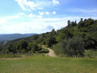 Farmhouse Rufina Environment 37