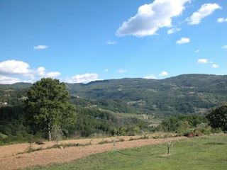 Bauernhof Rufina Umgebung 36