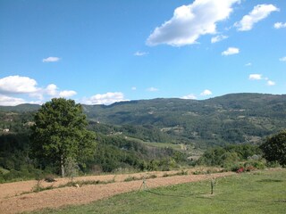 Farmhouse Rufina Environment 36