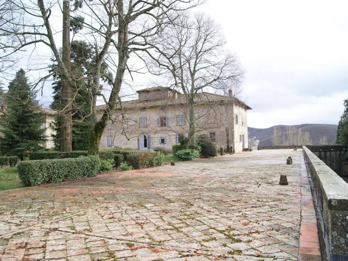 Fattoria Rufina Ambiente 1