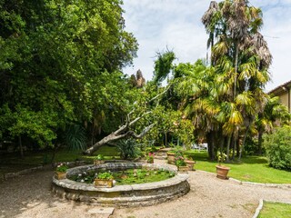 Type de propriété : Ferme Carmignano Enregistrement extérieur 18