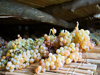 Type de propriété : Ferme Carmignano  40