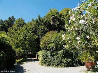 Bauernhof Carmignano Außenaufnahme 16