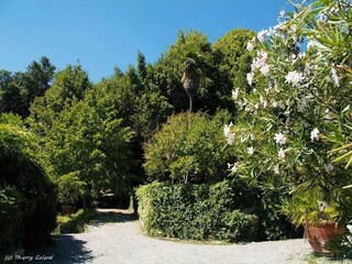 Farmhouse Carmignano Outdoor Recording 16