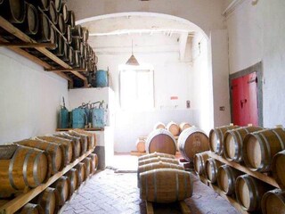 Bauernhof Carmignano  37