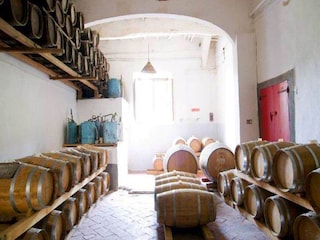 Farmhouse Carmignano  37