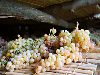 Fattoria Carmignano  35