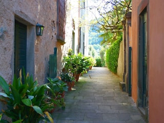 Bauernhof Carmignano Außenaufnahme 6