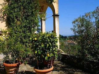 Farmhouse Carmignano Outdoor Recording 11