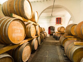 Type de propriété : Ferme Carmignano  40