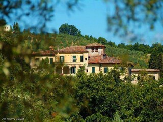 Type de propriété : Ferme Carmignano  39