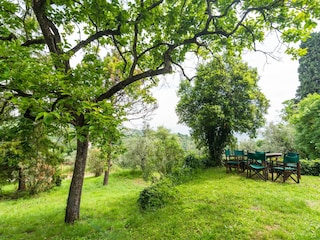 Farmhouse Carmignano Outdoor Recording 15