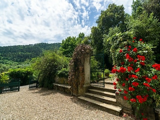 Bauernhof Carmignano Außenaufnahme 12