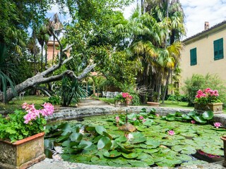 Farmhouse Carmignano  40