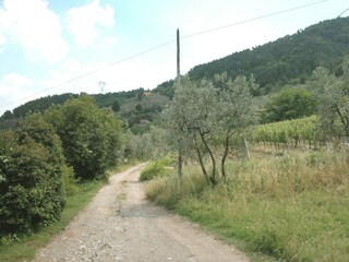 Type de propriété : Ferme Carmignano Environnement 34