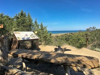 Holiday house Castagneto Carducci Outdoor Recording 5