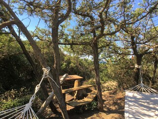 Holiday house Castagneto Carducci  37