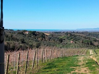 Vakantiehuis Castagneto Carducci Omgeving 37