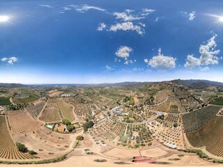 Holiday house Castagneto Carducci Environment 28