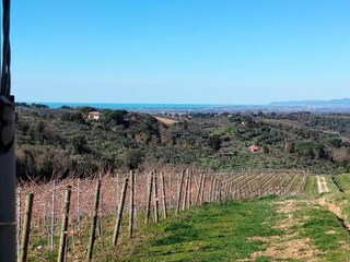 Vakantiehuis Castagneto Carducci Omgeving 29