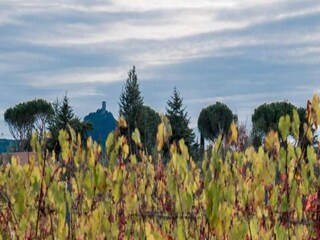 Holiday house Castagneto Carducci Environment 22