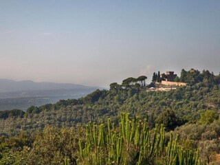 Casa per le vacanze Castagneto Carducci Ambiente 14