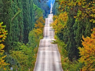 Vakantiehuis Castagneto Carducci Omgeving 32